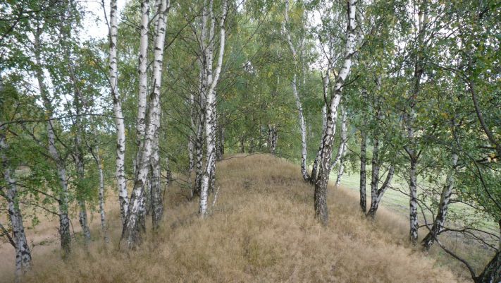 Břízy pod Bradlecem